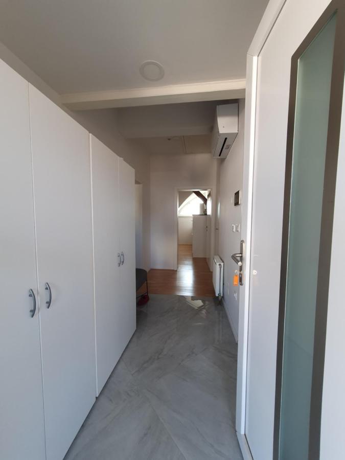 Charming Apartment Mila In Privat House With Free Parking Ljubljana Ngoại thất bức ảnh