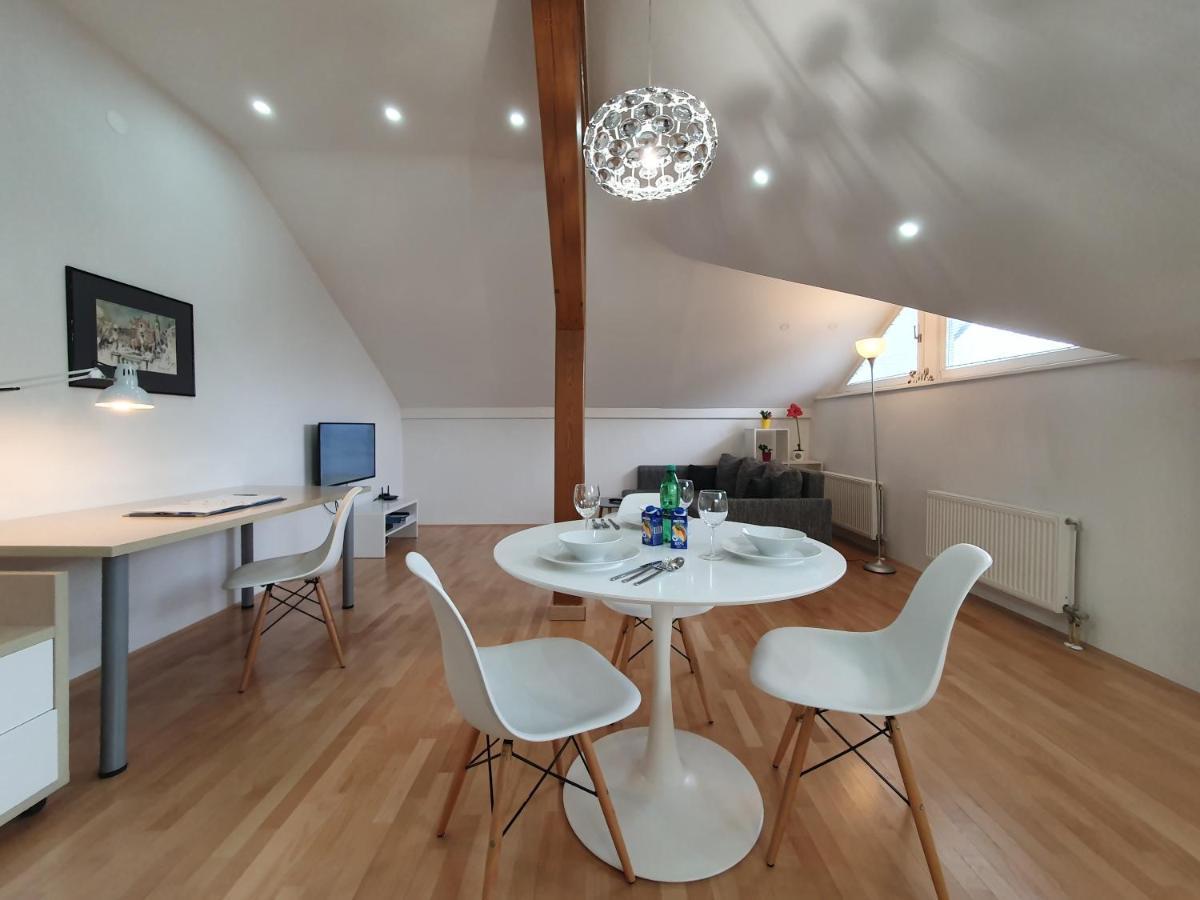 Charming Apartment Mila In Privat House With Free Parking Ljubljana Ngoại thất bức ảnh